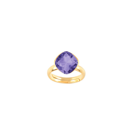 Clara // Lilac Bloom